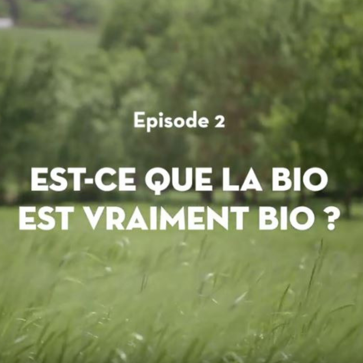 Est-ce que la bio est vraiment bio ? Est-ce que la bio est vraiment bio ?